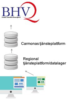 vilden visar överföring via journalsystem, regional tjänsteplattform, Carmonas tjänsteplattform och BHVQ